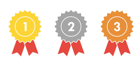 2025년 11월 수입차 판매량 Top 3